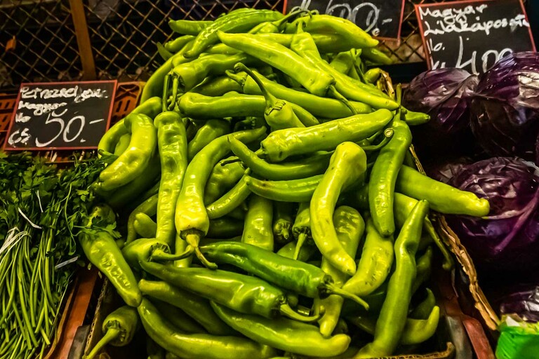Ungarische grüne frische Paprika / © Foto: Georg Berg