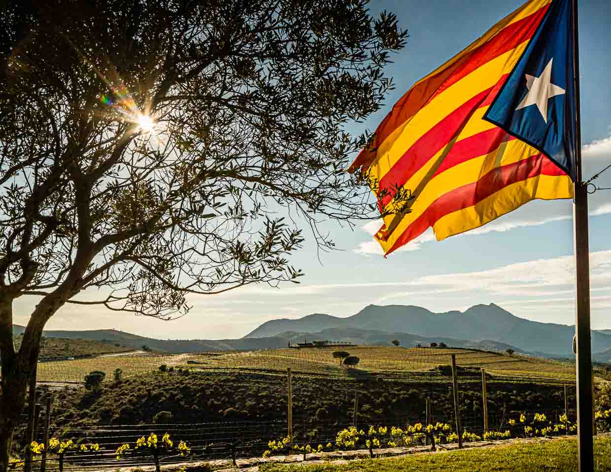 Der Wein, die Sierra und das Meer. Im Naturschutzgebiet Cap de Creus liegen drei Weingüter. Auf dem Weingut von Martin Faixó weht die katalonische Flagge / © Foto: Georg Berg
