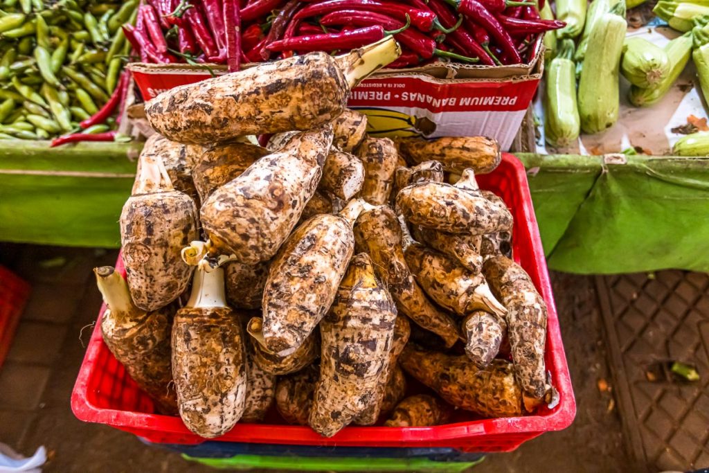 Kolokasi ist eine zypriotische Spezialität. Das Gemüse erinnert an eine Mischung aus Kartoffel und Topinambur. Es wird in Würfel geschnitten und gekocht serviert / © Foto: Georg Berg