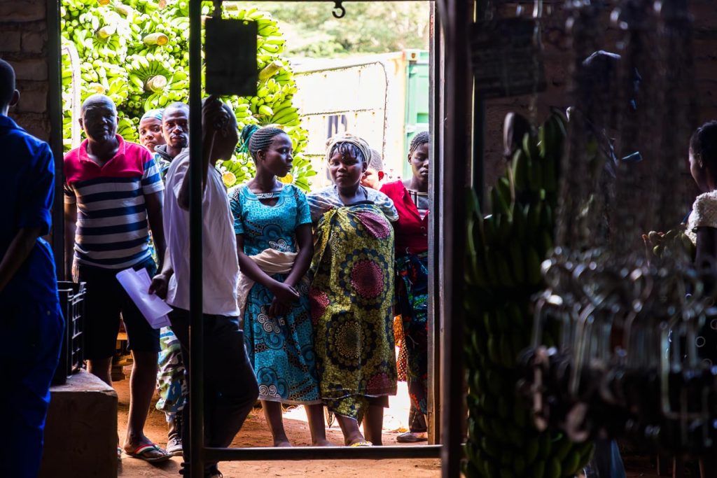 Lokale Händler warten auf die Ausgabe ihrer Bestellungen. Nature's Gift Bananas auf dem Kumbali Estate in Lilongwe, Malawi / © Foto: Georg Berg
