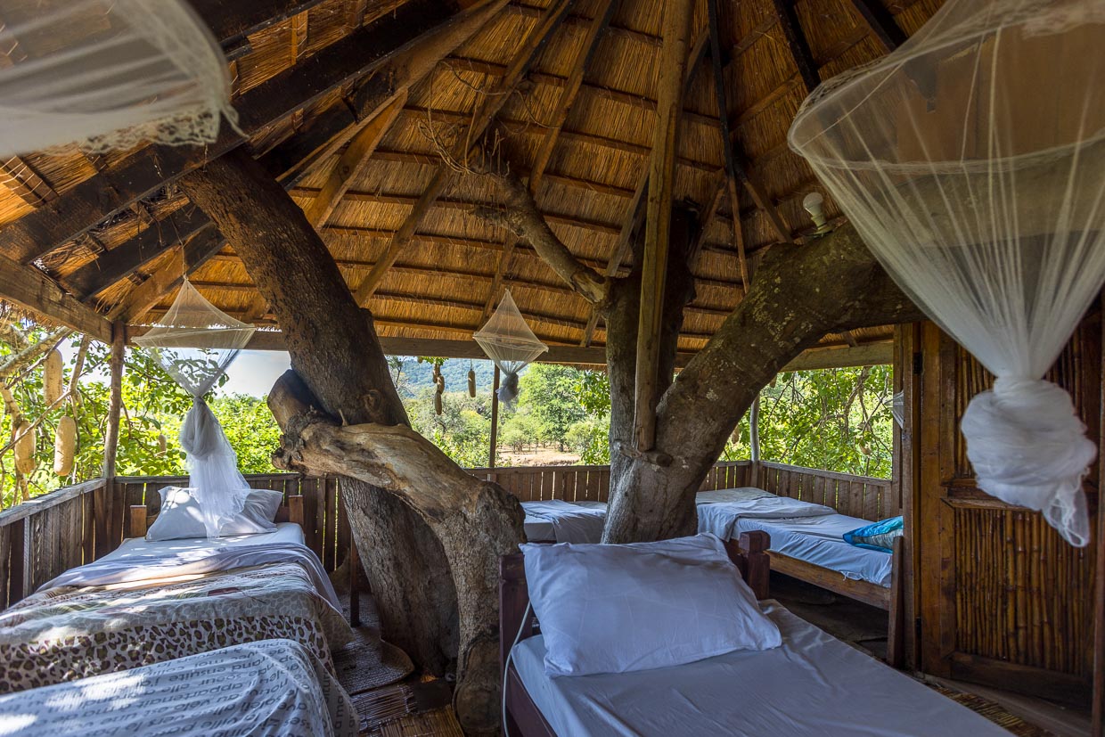 Mehr Natur geht kaum mitten im afrikanischen Busch. Hier eines der beliebten Baumhäuser der Kutchire Lodge mit Rundblick über die Anlage / © Foto: Georg Berg