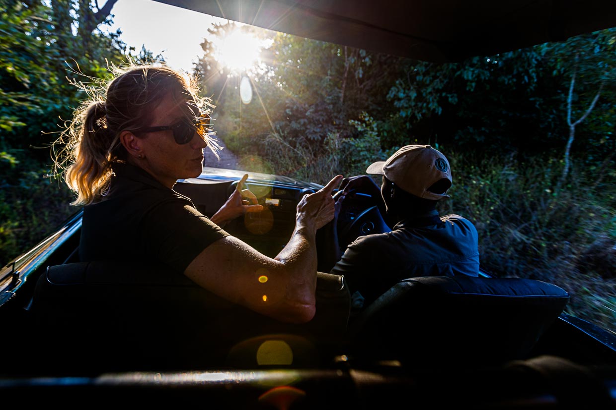 Die deutsche Tierärztin Dagmar Mayer erklärt auf der Fahrt im Majete Wildlife Reserve den geplanten Einsatz. Eine Löwin soll ein neues Funkhalsband bekommen / © Foto: Georg Berg