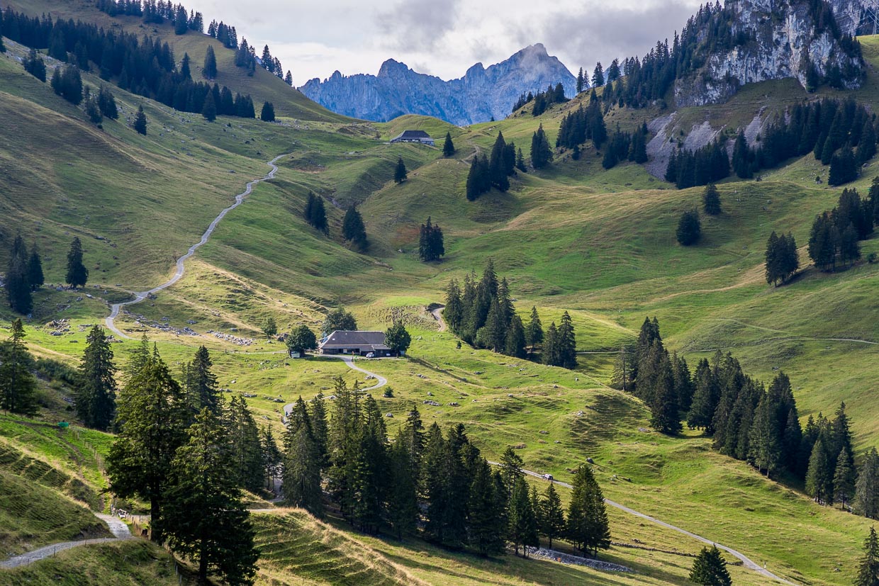 Wanderweg entlang von Alphütten und über Alpwiesen, hier Urlandschaft Brecca / © Foto: Georg Berg