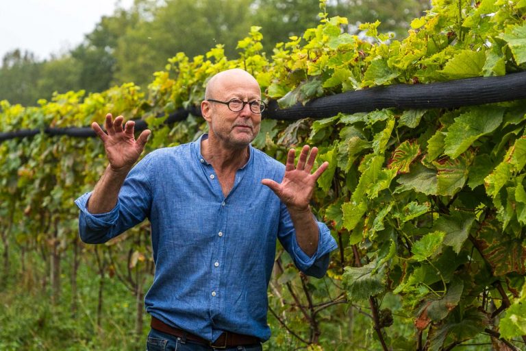 Winzer Christoph Kühne-Hellmessen in seinen Weinreben auf der Insel Usedom. Er experimentiert mit sieben verschieden Rebsorten und den geschmacksbildenden Böden. Weinanbau hat der Landwirt auf Sizilien erlernt / © Foto: Georg Berg