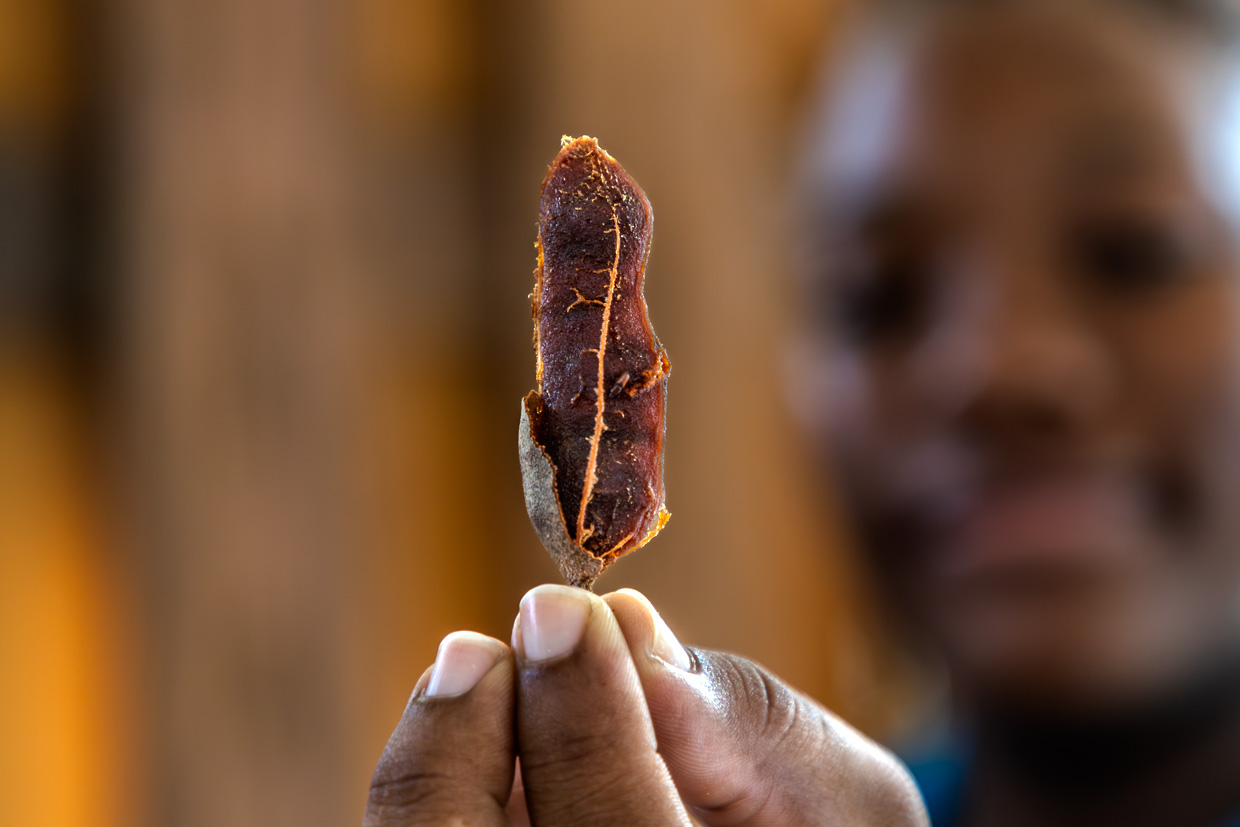 The sour pulp of the tamarind is popular on Curaçao as an ingredient in food and drink
