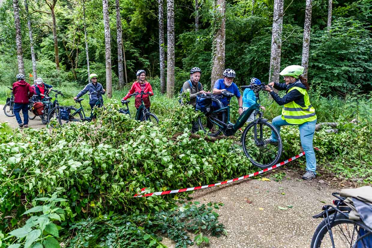 Cycling tour group from Die Landpartie on the Charente. Despite the best planning, there are unforeseen events such as a fallen tree on the cycle path, which is overcome together / © Photo: Georg Berg