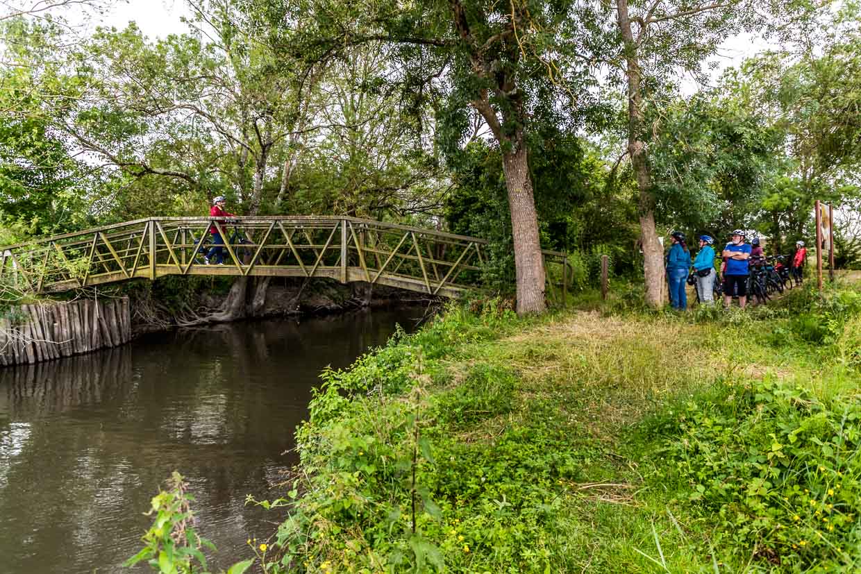 Narrow wooden bridge over the river Charente, used by pedestrians and cyclists. It is part of the Flow Vélo long-distance cycle route / © Photo: Georg Berg