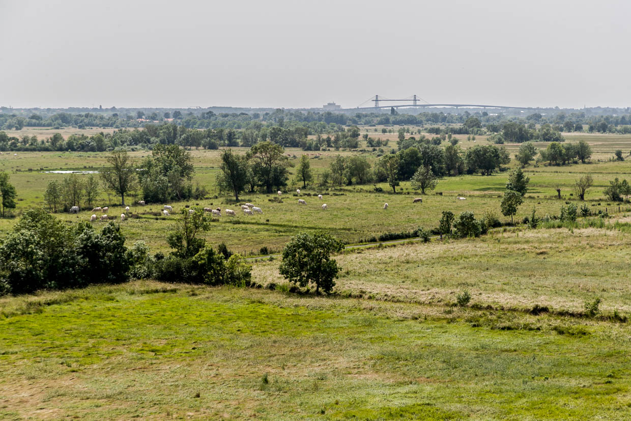 The transporter bridge (Pont Transbordeur) over the Charente near Rochefort (Nouvelle-Aquitaine) is visible from afar with its 68-metre-high steel pylons / © Photo: Georg Berg