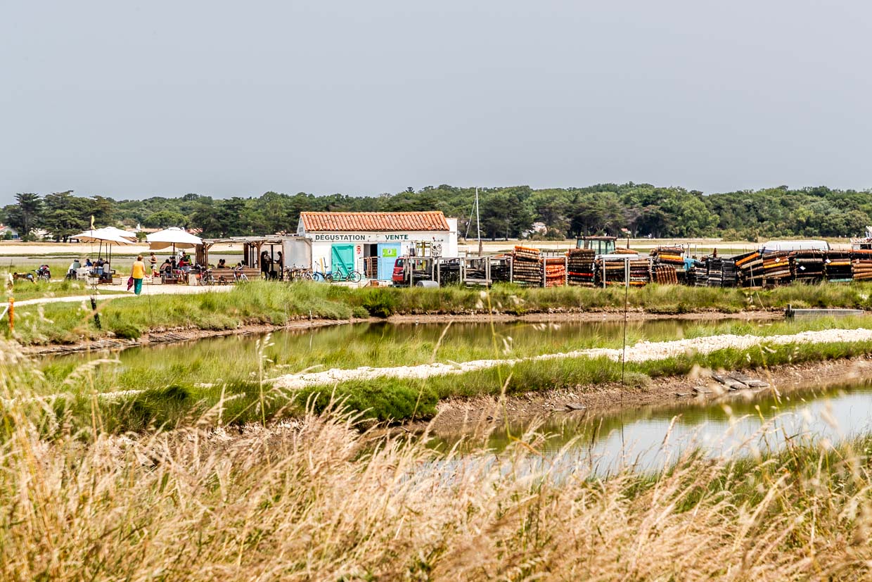 Restaurant and beach bar Chez Franck on the island of Aix, Charente-Maritime / © Photo: Georg Berg