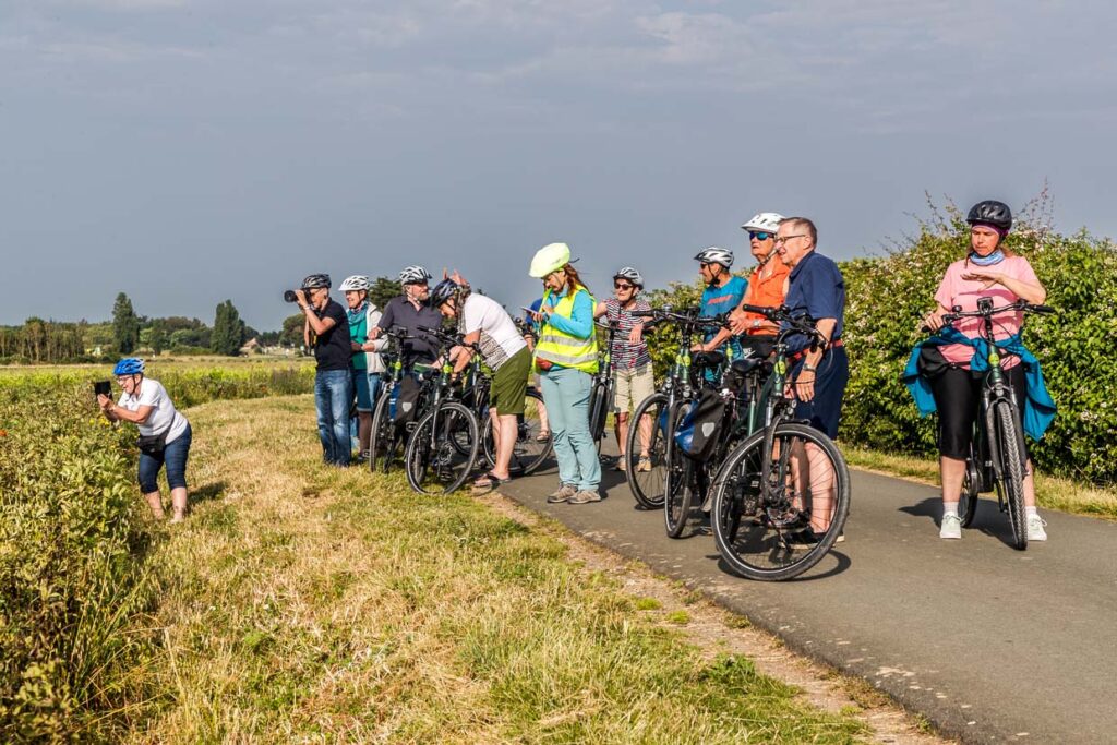 Collective photo stop on a cycle path on the Ile de Ré / © Photo: Georg Berg