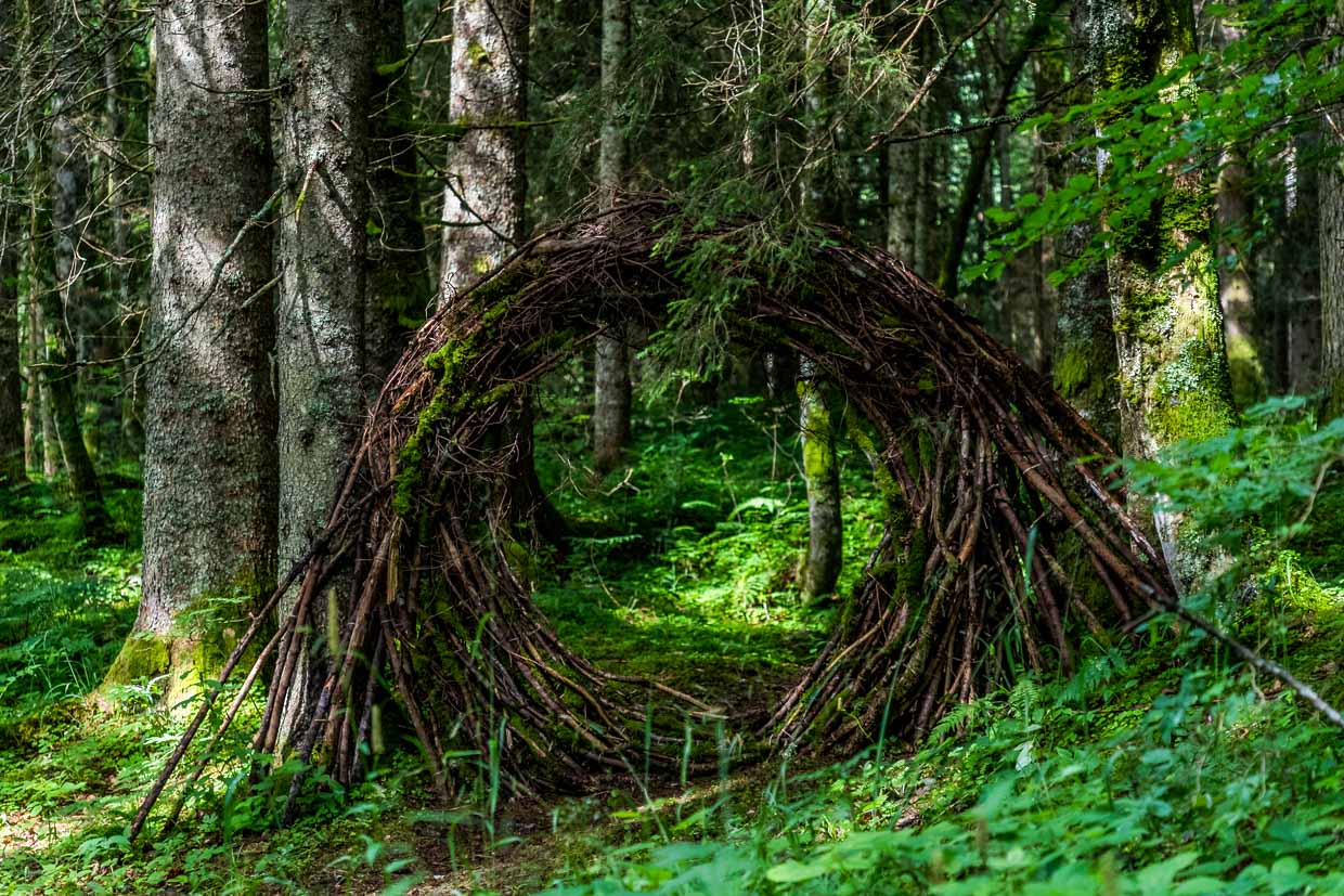 Naturkunstwerk „Portal“ von Brigitta Backhaus aus Deutschland. Aus Zweigen und Wurzeln entstand ein Durchblick mitten im Wald. Der Betrachter fokussiert sich auf einen Ausschnitt des Waldes. Landart Pfad Gerschnialp in Engelberg 2025 / © Foto: Georg Berg