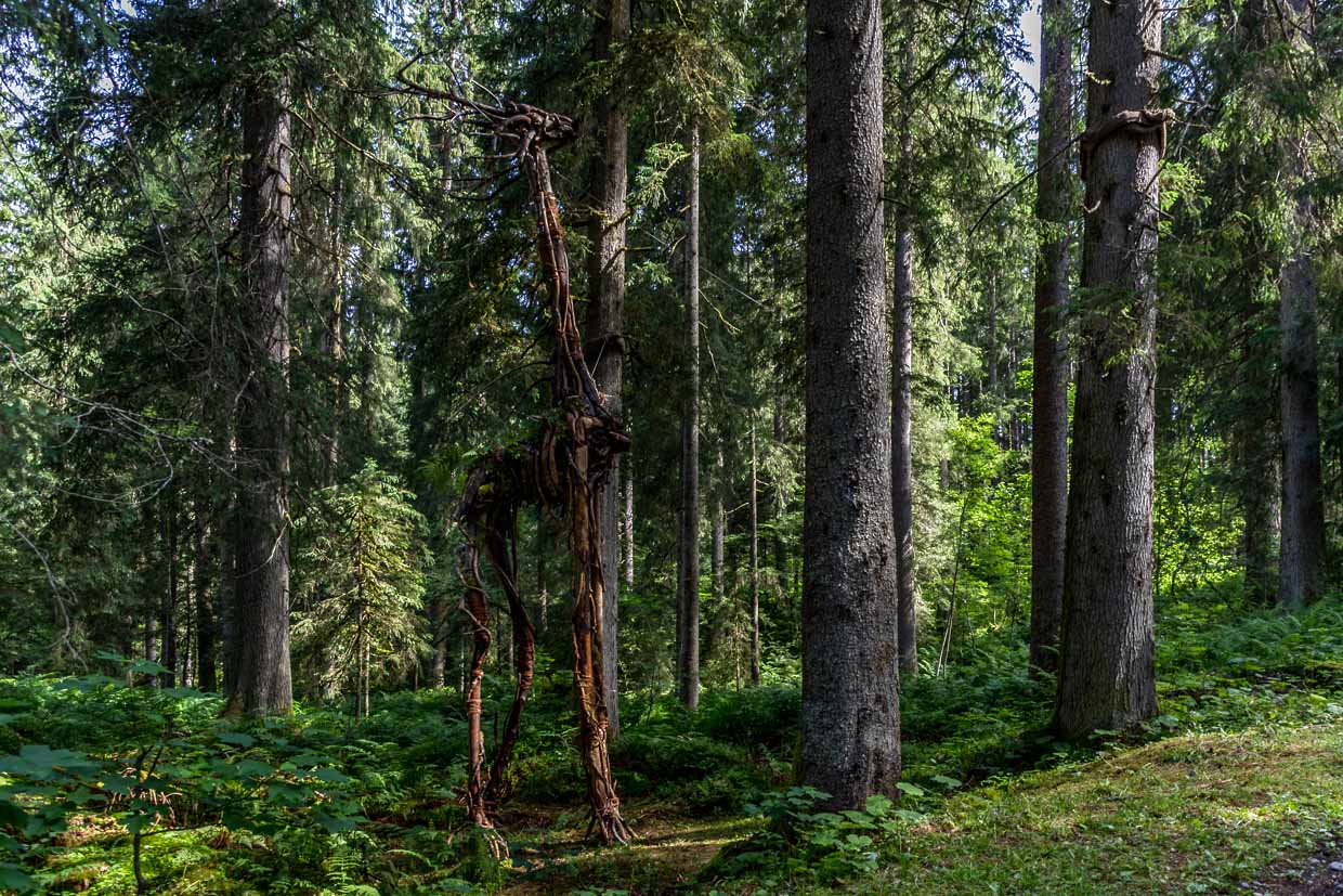 Waldschreiter von Gedeon Regli und Fabienne Baumann, filigrane Holzfragmente bilden einen großen aber grazilen Körper, ein Wesen aus einer anderen Welt. Jedes Stück Holz trägt Spuren von Wasser, Wind und Zeit. Landart Pfad Gerschnialp in Engelberg 2025 / © Foto: Georg Berg