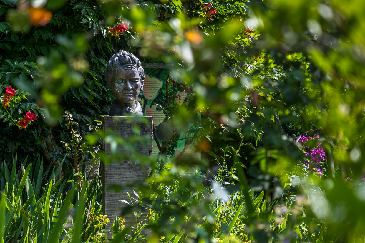 Büste von Mia Hesse im Garten des Mia- und Hermann-Hesse-Hauses. Mia Hesse, geborene Maria Bernoulli (1868–1963), stammte aus einer wohlhabenden Basler Gelehrtenfamilie als Tochter des Notars Friedrich Bernoulli und war eine Pionierin der Fotografie in der Schweiz. 1904 heiratet sie Hermann Hesse. Das Paar zieht von Basel auf die Halbinsel Höri am Bodensee. Mia Hesse gibt ihre Karriere als Fotografin auf / © Foto: Georg Berg