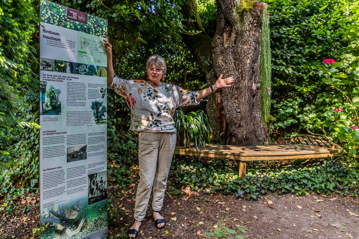 Eva Eberwein im Garten vor der 200 Jahre alten Thurgauer Mostbirne. Hermann Hesse legte den Garten ab 1907 rund um das neu gebaute Wohnhaus auf einem etwa 9.000 Quadratmeter großen Wiesen- und Ackergrundstück selbst an und plante Wege, Beete, Bäume und Hecken / © Foto: Georg Berg