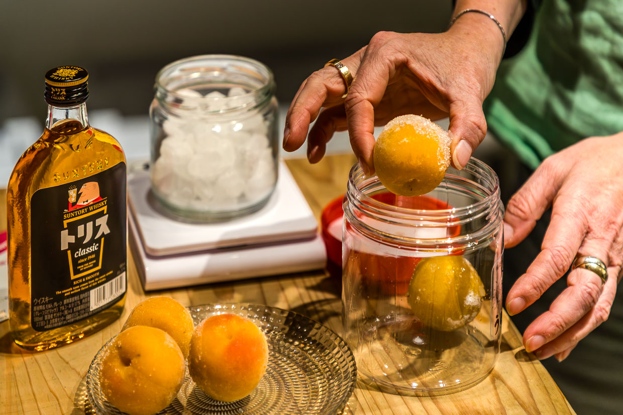 Umeshu-Workshop in Tanabe. Ansetzen von reifen Pflaumen, Kandiszucker und Whisky, Umeshu ist ein japanischer Pflaumenlikör / © Foto: Georg Berg