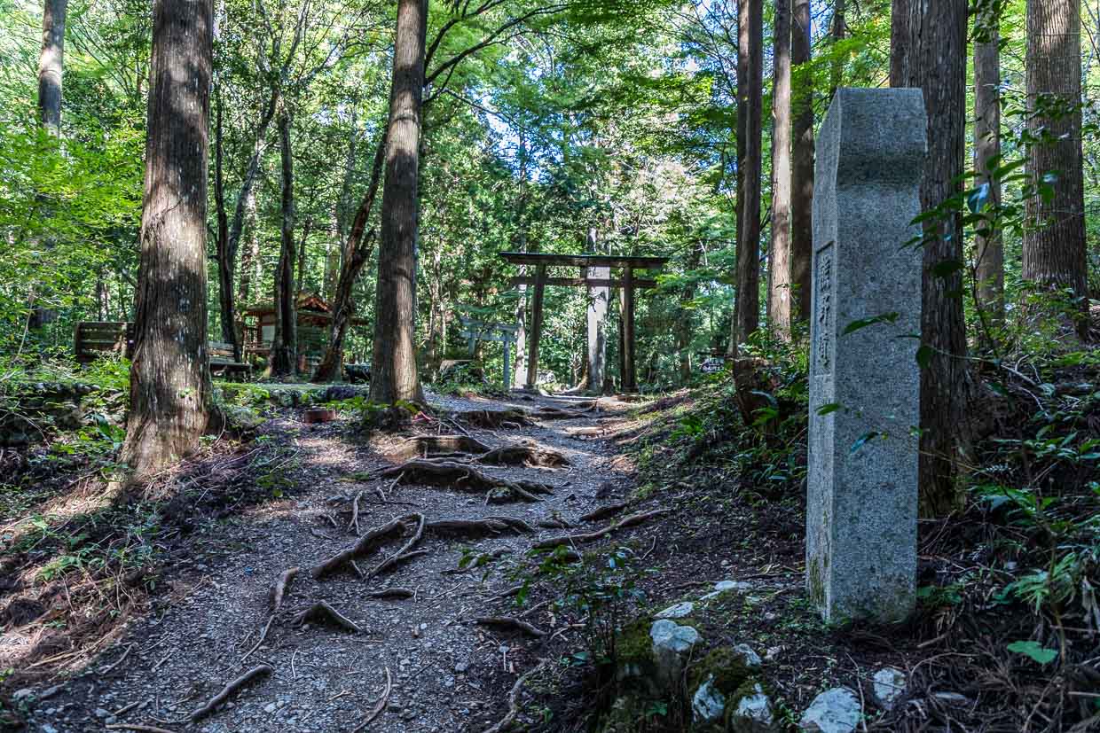 Hosshinmon-oji ist das äußerstes Tor zum Heiligtum und der spirituelle Einstieg zur Etappe mit dem Ziel Kumano Hongu Taisha Shrine, Blick vom Einstieg mit Markierungsstein für den Kumano Kodo Pilgerweg / © Foto: Georg Berg