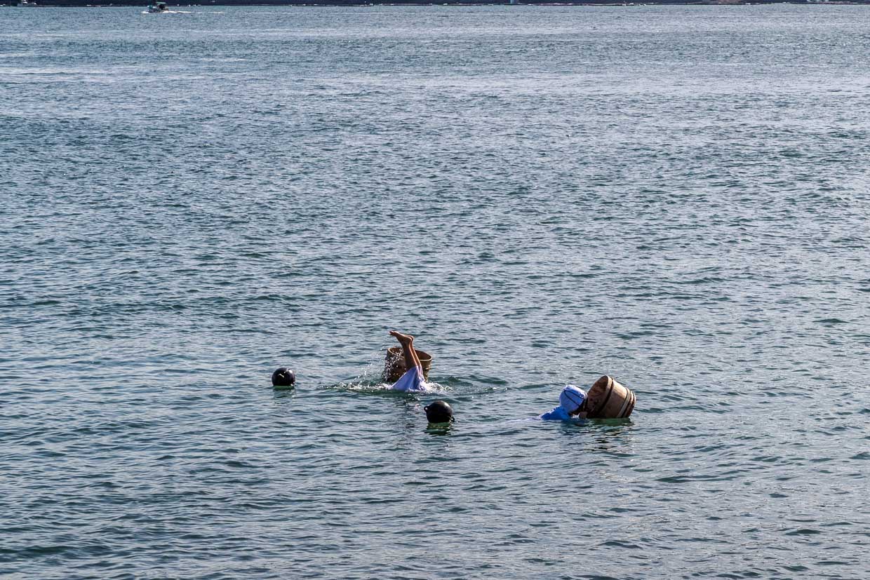 Frau taucht nach Muscheln im Meer vor Toba, Japan