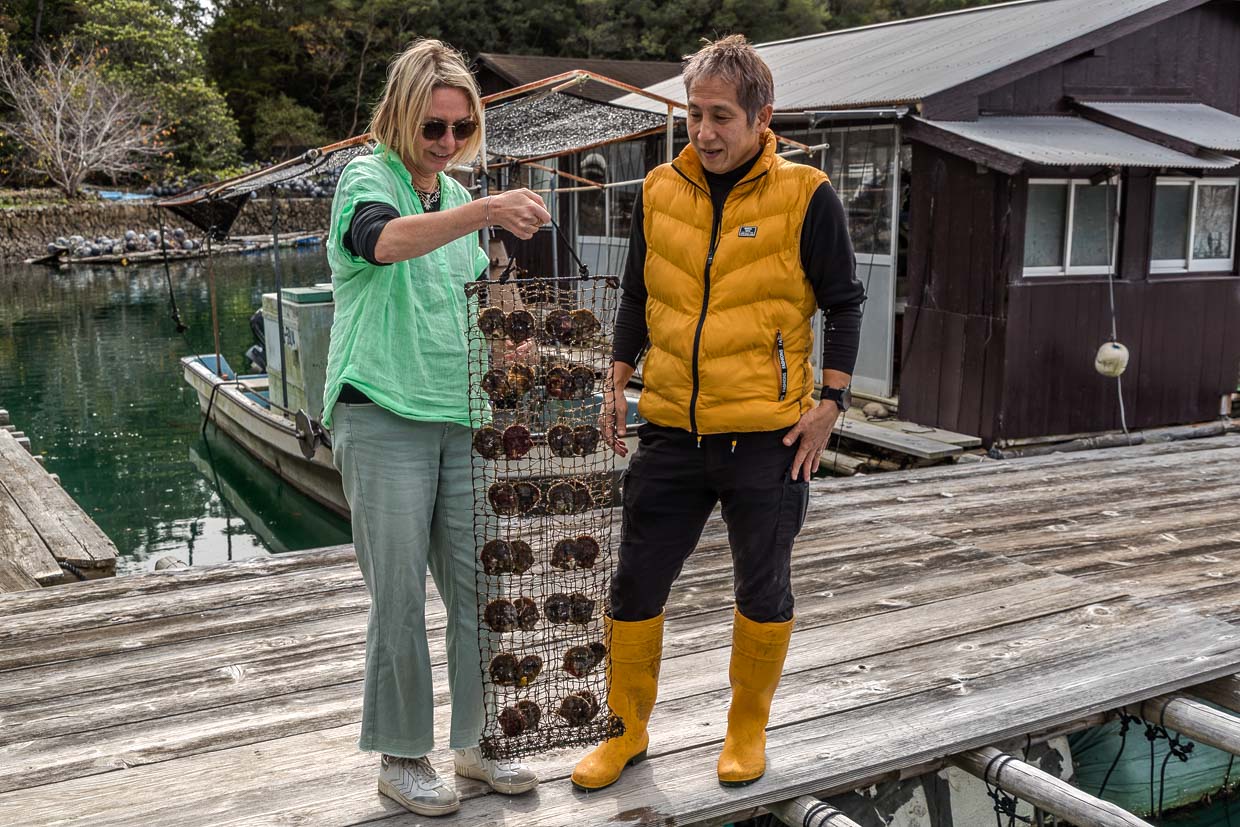 Frau präsentiert Austernnetz auf einem Steg in Shima, Japan
