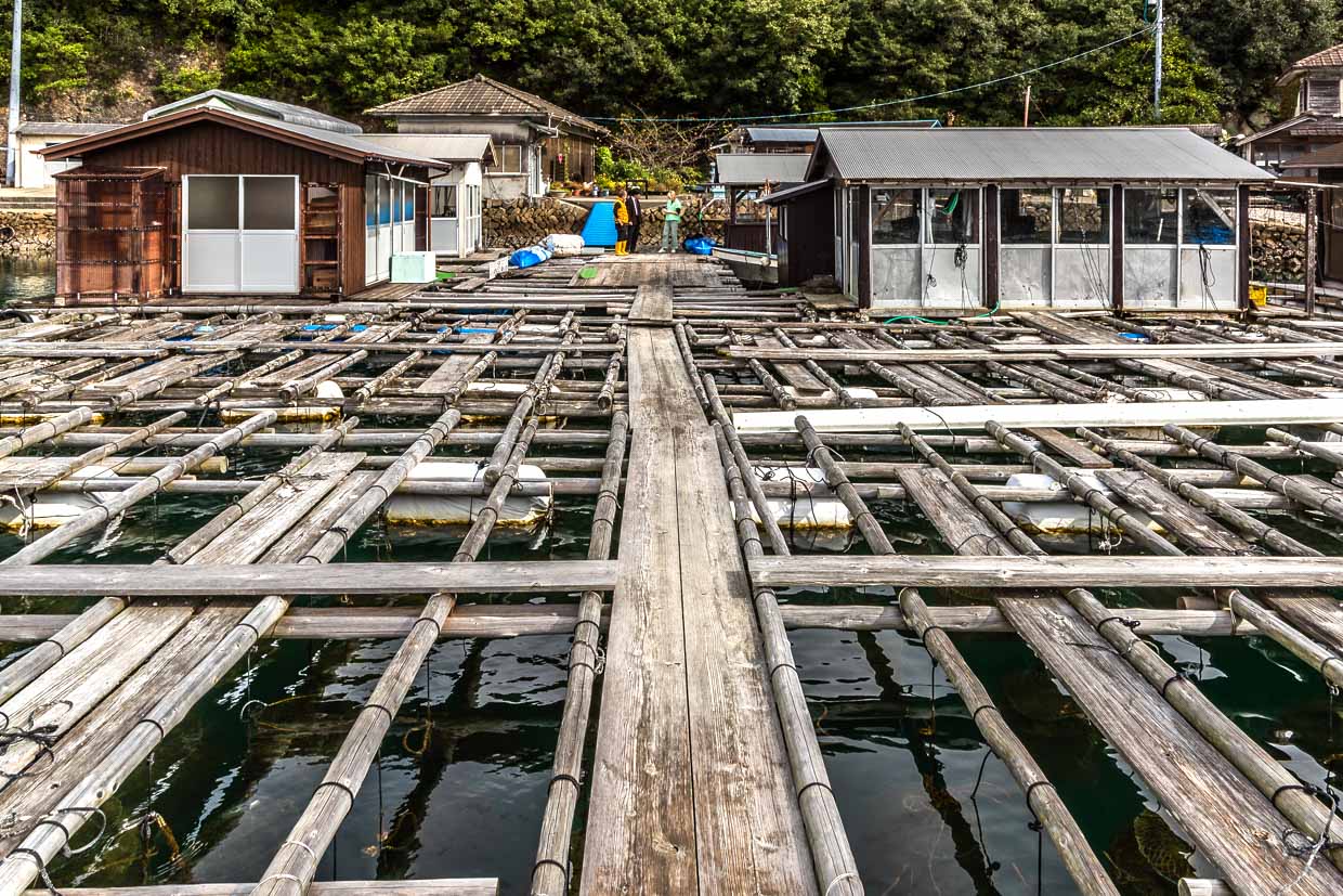 Fischzuchtanlagen mit Holzbauten am Wasser in Shima, Japan