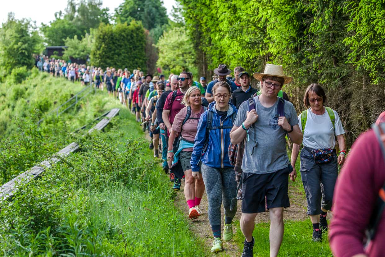 Eine Wandergruppe wandert auf einem grünen Pfad an der B 85 in Ludwigsstadt Germany