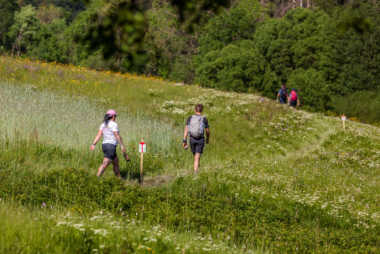 Eine Braut und Wanderer gehen auf einem Pfad durch eine blühende Wiese Zur Aumühle Steinbach am Wald Germany
