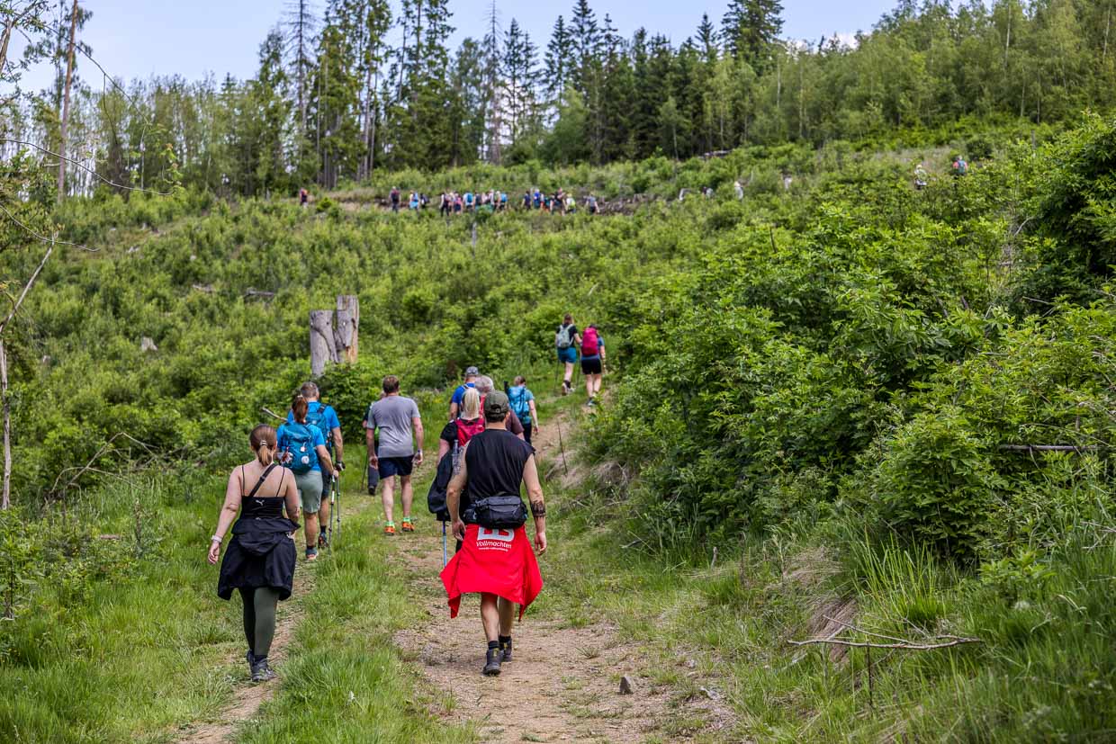 Eine Gruppe Wanderer steigt einen bewachsenen Pfad bergauf in der Kehlbacher Straße Ludwigsstadt Germany