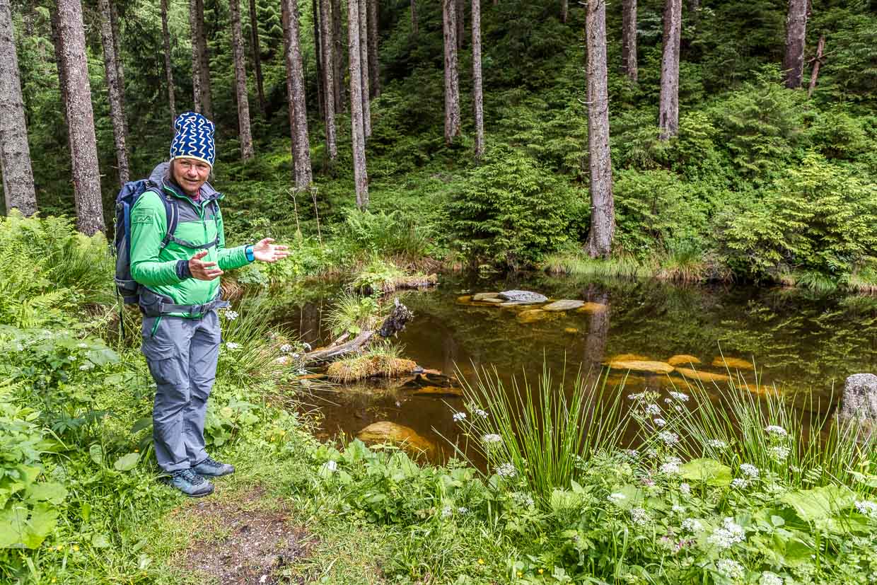 Eine Wanderin gestikuliert am Waldteich am Wasserfallrundweg Untersulzbach, Rosental, Austria