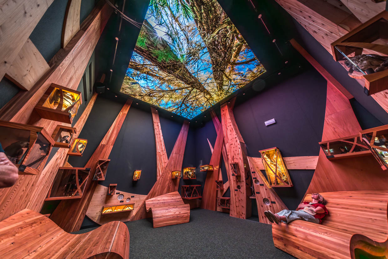 Eine Person entspannt auf einer Holzbank in einem Ausstellungsraum mit Wald-Deckenbild an der Gerlos Straße, Mittersill, Austria