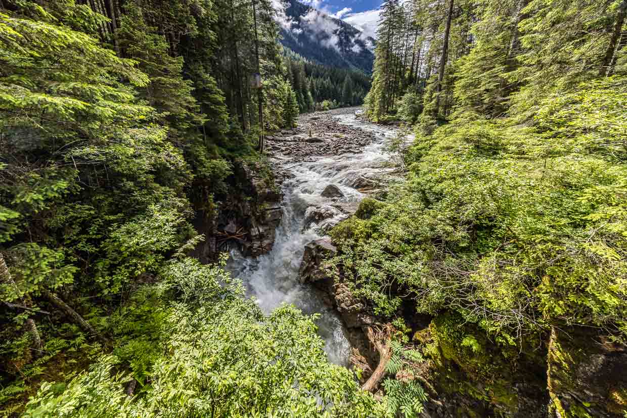 Ein wilder Fluss rauscht durch eine bewaldete Schlucht am Wasserfallrundweg Untersulzbach, Rosental, Austria