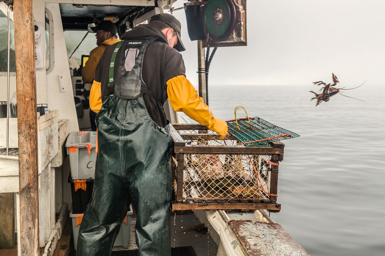 Fischer holt Hummerkorb an Bord eines Bootes vor Cape Dauphin, Canada
